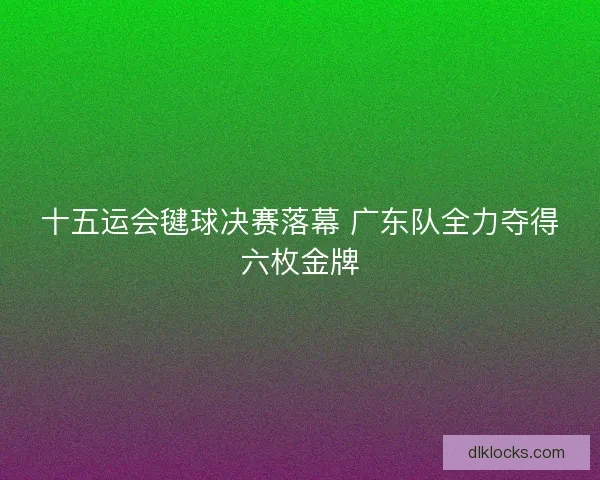 十五运会毽球决赛落幕 广东队全力夺得六枚金牌